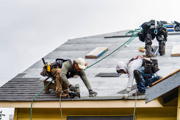 Professional Storm Damage Roof Repair technician working in Cubero, NM